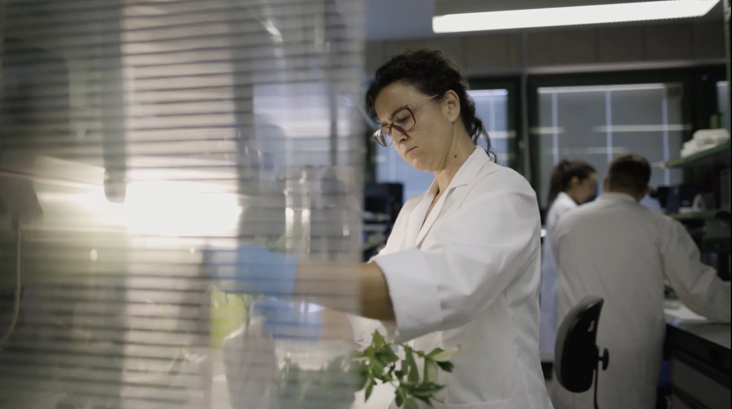 H2020 DIVERsify