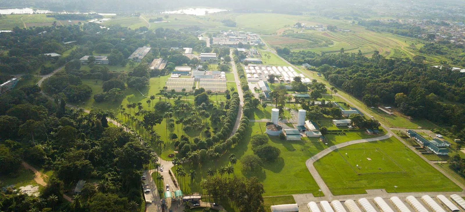 International Institute of Tropical Agriculture (IITA)